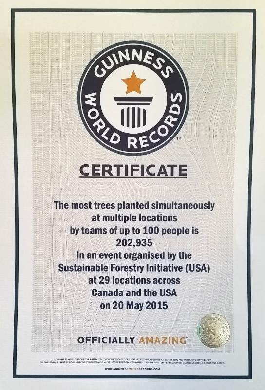 SFI Sets A Guinness World Records Title One Tree At A Time